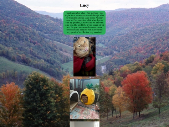 lucy screenshot