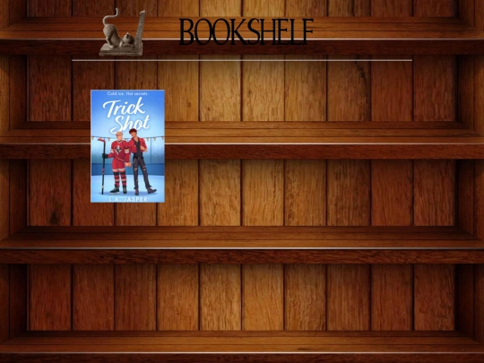 bookshelf screenshot