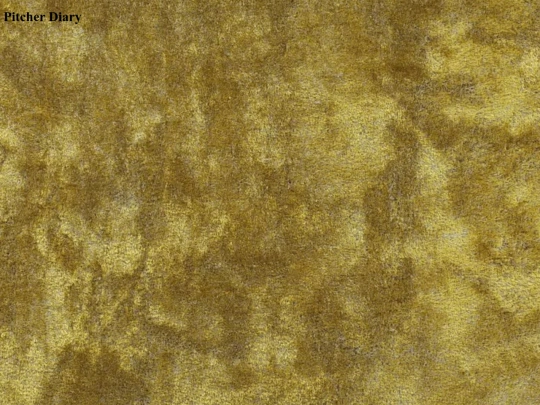 pitcherdiary screenshot