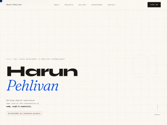 professionaldeveloper screenshot