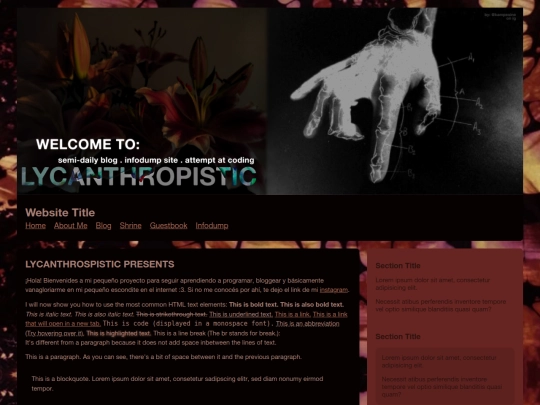 Website screenshot
