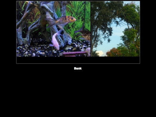 nikon screenshot
