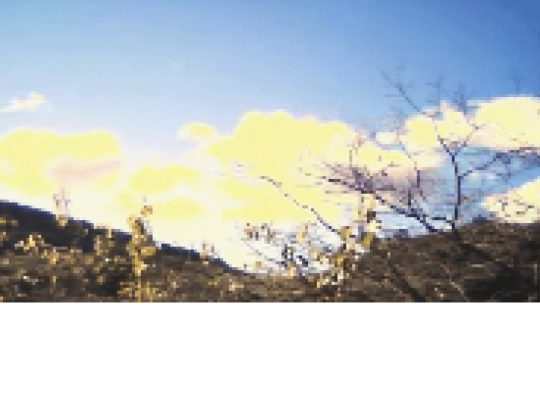 AboutMe screenshot