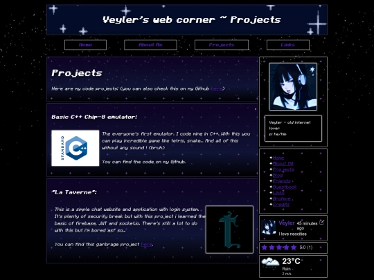 pages/projects screenshot