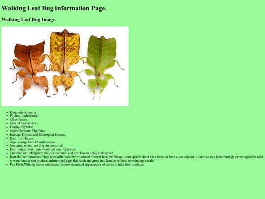 WalkingLeafBug screenshot