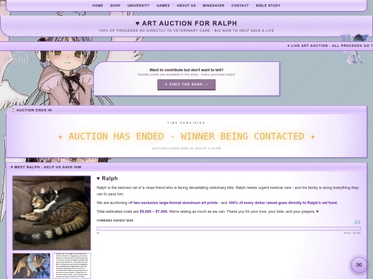 auction screenshot