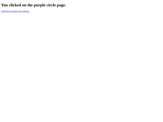 ecs/image_map/purple_circle_map screenshot
