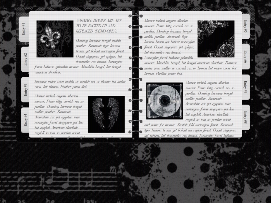 diary screenshot