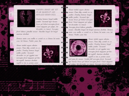 pages/widgets/diary screenshot