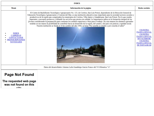 index screenshot