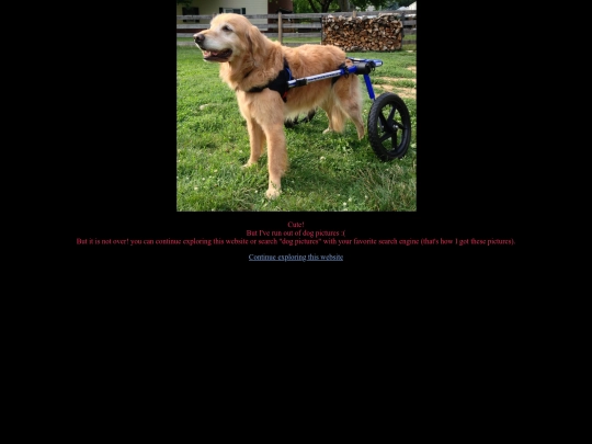 thirdpictureofadog screenshot