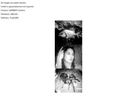 Camera screenshot
