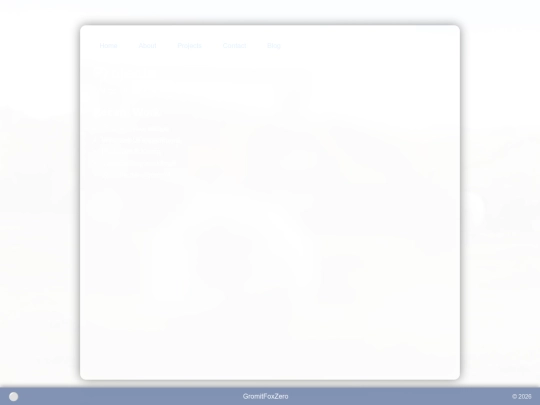 projects screenshot