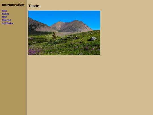 biome/tundra screenshot
