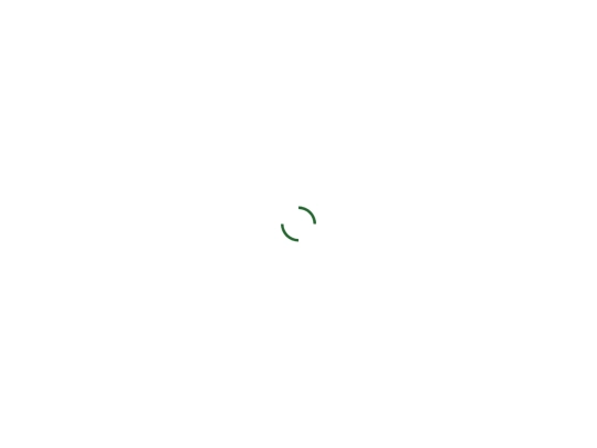 scratch screenshot