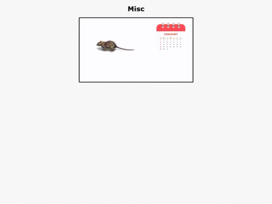 misc screenshot