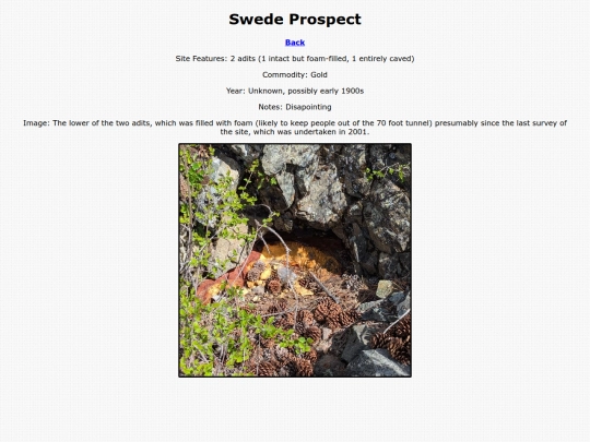 swede screenshot