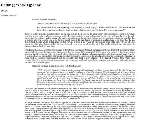 issues/realism/pottingworkingplay screenshot