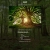 picturesoftrees.neocities.org avatar