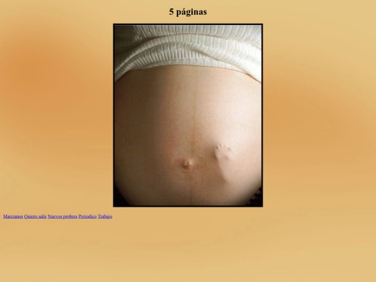 pagina2 screenshot