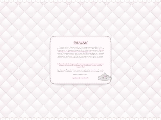 diarydisclaimer screenshot