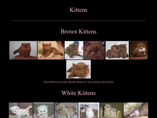 kittens screenshot