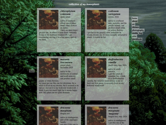 plants screenshot