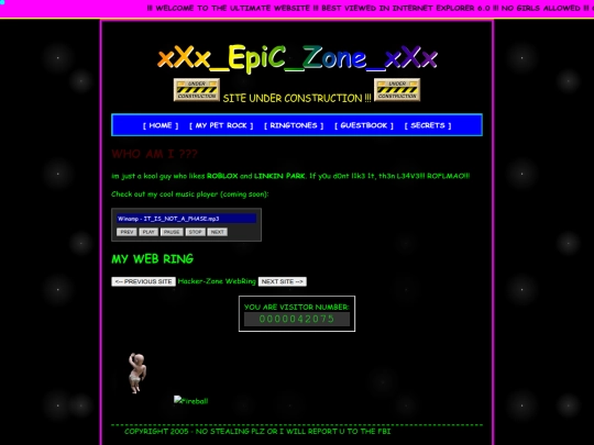 Website screenshot