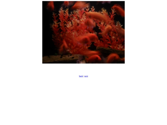 Cluster screenshot