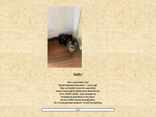 me/sully screenshot