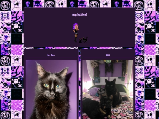 cats screenshot