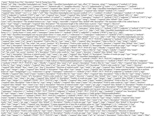 wp-json screenshot