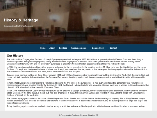 Website screenshot