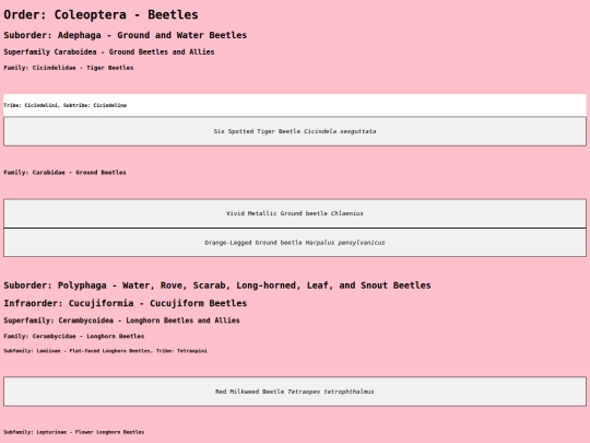 Coleoptera screenshot