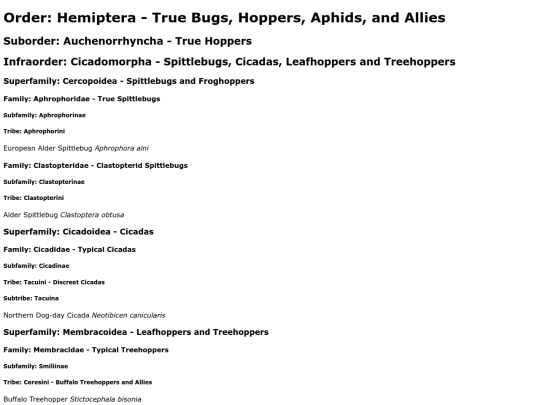 Hemiptera screenshot