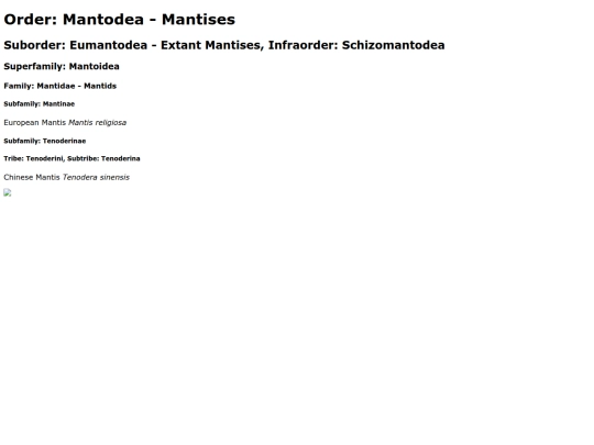 Mantodea screenshot