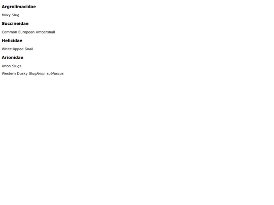 Stylommatophora screenshot