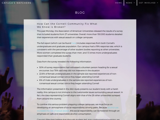 blog screenshot