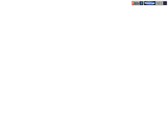 _borders/bottom screenshot