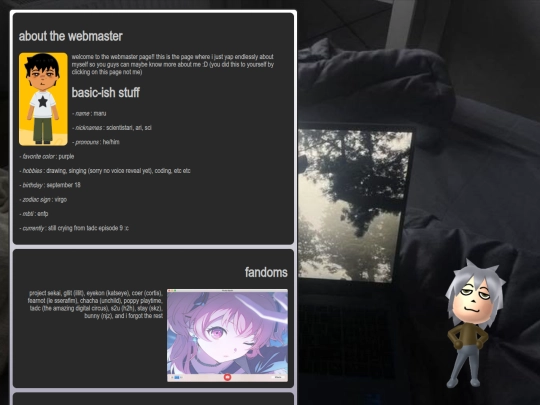 webmaster screenshot
