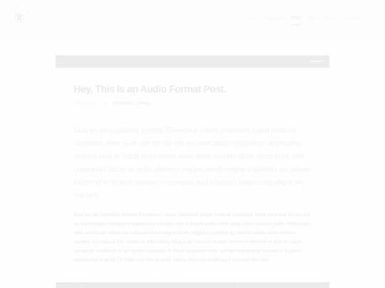 single-audio screenshot