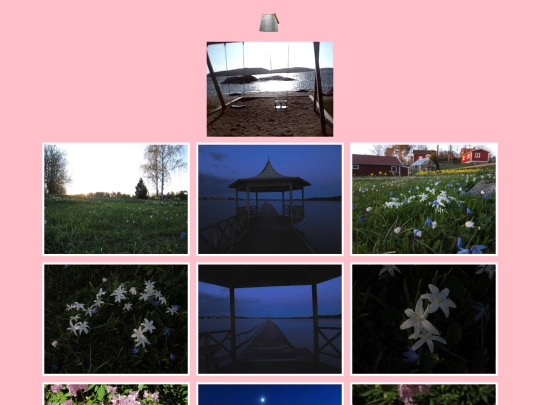 photogallery screenshot