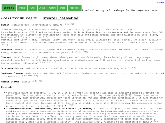 Chelidonium majus screenshot