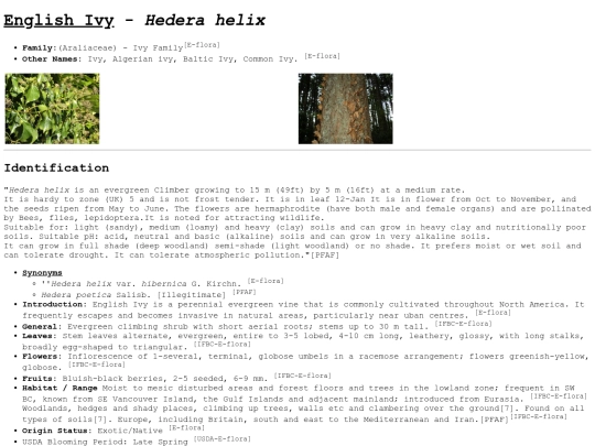 Hedera helix screenshot