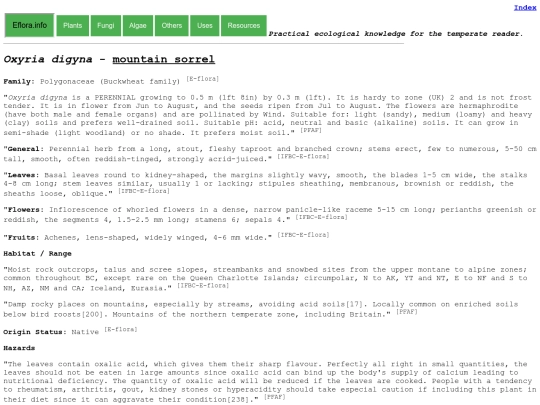 Oxyria digyna screenshot