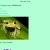  Gary the Frog avatar