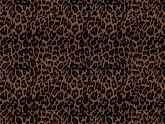 website/Music screenshot