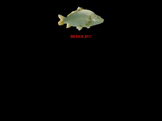 alexscoolsite/TheFish screenshot