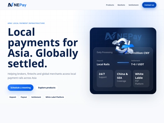 NEPay-website screenshot