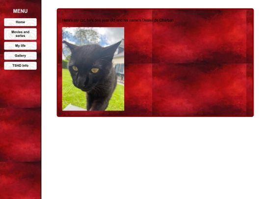 file4gallery screenshot